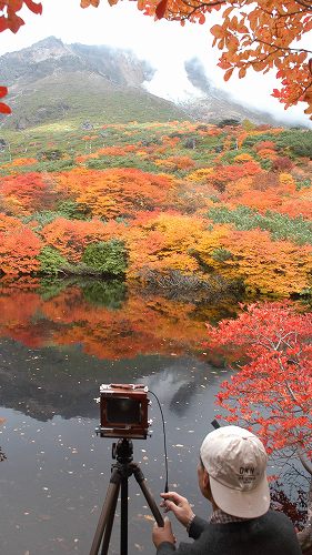 Осенние листья в Японии