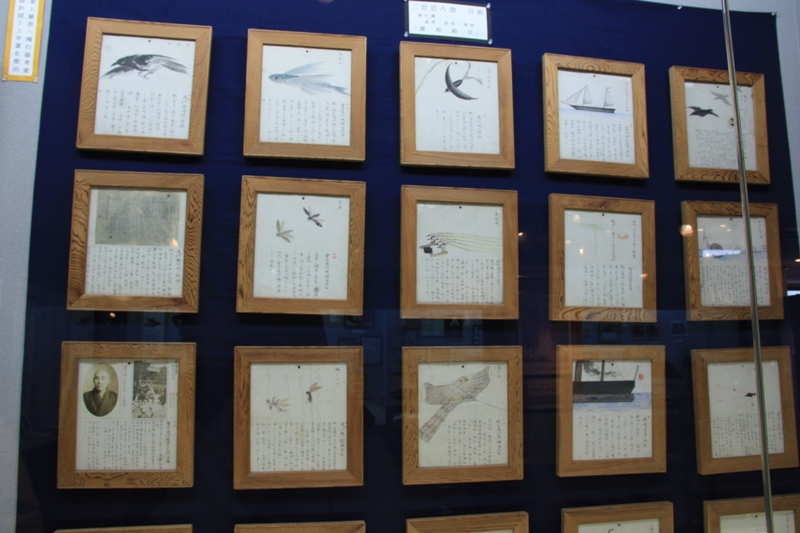 Зарисовки Тюхати Ниномии о разных летающих тварях и практических приложениях аэродинамики (паруса и воздушные змеи).