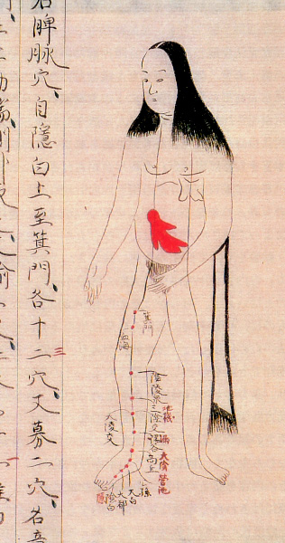 Анатомические иллюстрации эпохи Эдо