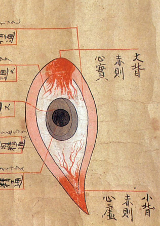 Анатомические иллюстрации эпохи Эдо