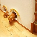 japan_cat-friendly_house_03