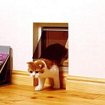japan_cat-friendly_house_08