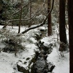 japan_snowed_up_09