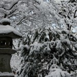 japan_snowed_up_10