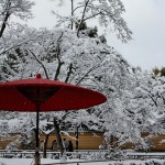 japan_snowed_up_15