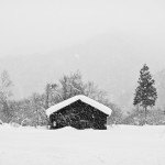 winter_in_the_mountains_in_japan_02