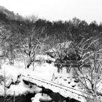winter_in_the_mountains_in_japan_07