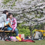japan_spring_in_yoyogi_2011_03