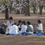 japan_spring_in_yoyogi_2011_19