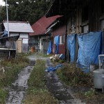 На заброшенной ферме в Иитатэ, 19-е ноября 2011 г.