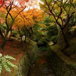 japan_tofuku-ji_autumn_2011_35