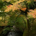 japan_tofuku-ji_autumn_2011_43