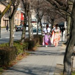 Девушки в цветастых кимоно начали попадаться по дороге уже от ближайшей станции ж/д. А эти две прогуливались в парке вокруг комплекса. До начала церемонии еще полтора часа, надо же основательно выгулять костюмчик? Кимоно в наше время носят редко...