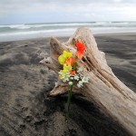 Цветы на унесённом цунами дереве на побережье Натори, префектура Мияги. 11-е марта 2012 г. Одна пара из префектуры Акита оставила букет в память более 3 тыс. человек, всё ещё считающихся пропавшими без вести