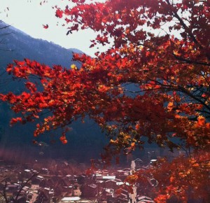 Почему осень – самое лучшее время года в Японии