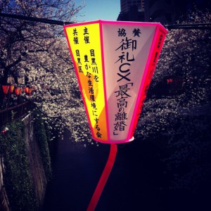 japan_early_sakura_blossom_04