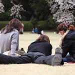 japan_sakura_2013_shinjuku_gyoen_02_37