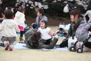 japan_sakura_2013_shinjuku_gyoen_03_43