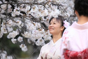 japan_sakura_2013_shinjuku_gyoen_04_01