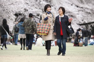 japan_sakura_2013_shinjuku_gyoen_04_25