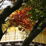 japan_kinkakuji_06