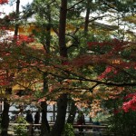 japan_kinkakuji_07