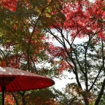 japan_kinkakuji_14