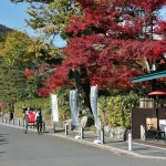 japan_arashiyama_00