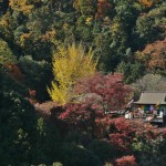 japan_arashiyama_16