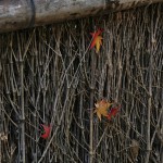 japan_arashiyama_28