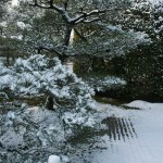 japan_ninna-ji_snow_05