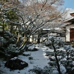 japan_ninna-ji_snow_10