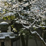 japan_ninna-ji_snow_13