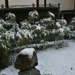 japan_ninna-ji_snow_14