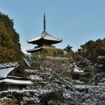 japan_ninna-ji_snow_20