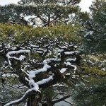 japan_ninna-ji_snow_22