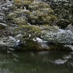 japan_ninna-ji_snow_23