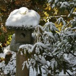 japan_ninna-ji_snow_28