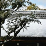 japan_ninna-ji_snow_33