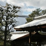 japan_ninna-ji_snow_34