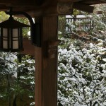 japan_ninna-ji_snow_35