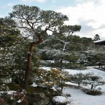 japan_ninna-ji_snow_36