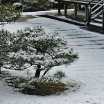 japan_ninna-ji_snow_38