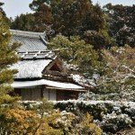 japan_ninna-ji_snow_41