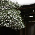 japan_ninna-ji_snow_46