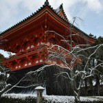 japan_ninna-ji_snow_60