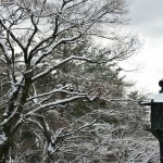 japan_ninna-ji_snow_63