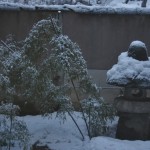japan_snow_02