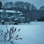 japan_snow_04