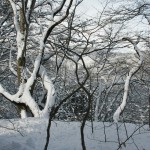 japan_snow_15